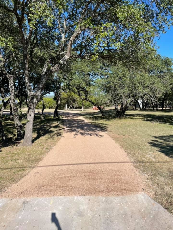 Unpaved driveway winds through a grove of trees
